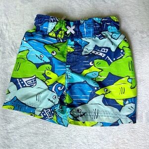 Swimming Trunks
